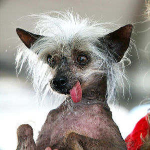 Meet your Posher, Layla